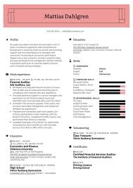 Use this sample cv and example sentences featuring the most basic elements that recruiters look for. External Auditor Resume Example Kickresume