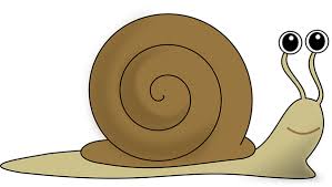 Check spelling or type a new query. 78 Gambar Animasi Siput Lucu Paling Hist Gambar Pixabay