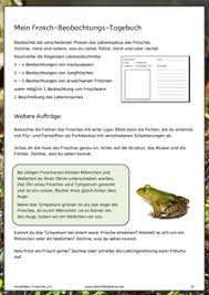 Frosche Amphibien Amphibien Kaulquappen Frosche