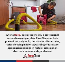 Water Damage Restoration Services From Puroclean Damage Restoration Restoration Restoration Services