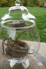 The place full of your favorite people and things. What A Cool Stinking Idea Find An Abandoned Birds Nest And Put It Up For Display Bird Nest Bird Decor Decor