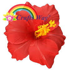 We did not find results for: 4 Silk Hibiscus Craftsway Llc Artificial Flowers Crafts Items