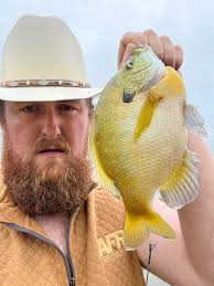 Stocking minnows for big bass growth