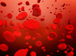 Hemofilia a merupakan suatu penyakit herediter yang disebabkan karena kelainan gen faktor viii yang mengakibatkan rendahnya. Revista Es Ejercicio Y Salud Que Es La Hemofilia Y Cual Es Su Tratamiento