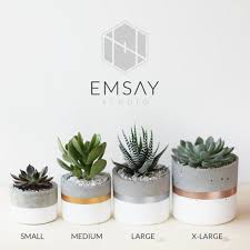 In this diy video, i'll show you how to make a large concrete planter using 2 buckets and a bag of concrete. Pin On Concrete Ideas