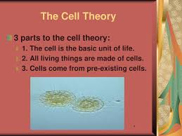 Maybe you would like to learn more about one of these? 7th Science Malnory Pietsch The Cell Theory Ppt Download