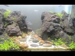 Desain Aquascape Pemandangan Alam Dengan Batu Dan Pasir Youtube