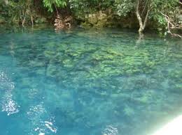 Labuan cermin ini berada di tengah hutan belantara pulau kalimantan. Danau Labuan Cermin Kalimantan Timur Biaya Lokasi Rute Difawisata Com