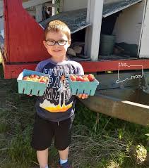 South windsor ice cream shop at evergreen walk. Pick Your Own Strawberries In Connecticut