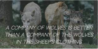 Whether you're in a relationship or are close friends with someone, you should tread carefully. 20 A Wolf In Sheep S Clothing Quotes Enkiquotes