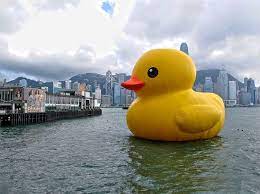The God Bless You Revolution Duck Duck Memes Big Yellow
