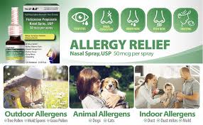 Amazon Com Healtha2z Fluticasone Propionate Nasal Sprays 24 Hour Allergy Relief 120 Sprays 0 54 Fl Oz Health Personal Care
