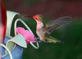 Feeding hummingbirds can be a great joy, but when those feeders start getting sticky, dripping, and leaking, problems can develop for both you and the birds. 9 Easy And Beautiful Diy Hummingbird Feeder Gift Ideas Garden And Happy