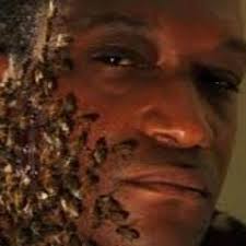 Stream 5. 730 Mob by SenCity730