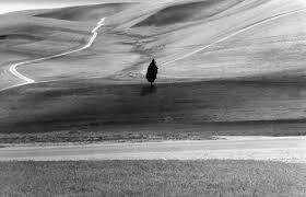 Abbas Kiarostami His Love Of Simple Reality Captured The Spirit Of His Times Landscape Old Photography Abba