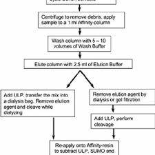 3 Flow Chart For Purification And Cleavage Of His 6 Sumo