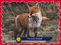 Fox Spirit Animal Meaning Symbolism Dreams Of Fox Animal Totem