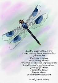 Black And Blue Dragonfly Meaning Image Result For Dragonfly Meaning Quotes Dragonfly Quotes Dragonfly Meaning Dragonfly