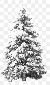 Winter Png Winter Transparent Clipart Free Download Skyy Vodka Distilled Beverage Wine Grey Goose Vodka Eskizy Derevev Rozhdestvo Eskiz