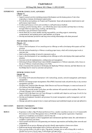 Functional resumes focus on skills. Senior Consultant Resume Samples Velvet Jobs