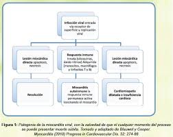 Tratamiento de la miocarditis encontrado 4 resultado. Miocarditis Virales Como Causa De Muerte Subita Aproximacion Al Diagnostico Molecular En Patologia Forense