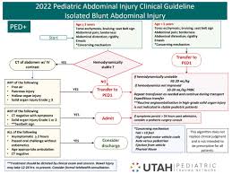 Image result for PECARN Pediatric Intra-Abdominal Injury Algorithm