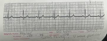 Image result for U Wave