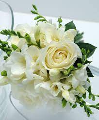 Pin On Freesias