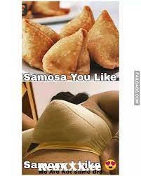 Samosa Dirty Indian Memes from indian dirty audiomall Post - RedXXX.cc