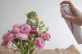 Even with the use of floral preservatives, the water in a flower arrangement can get slimy after a few days. Once You Pick A Flower It Has An Expiration Date Set On It Although It Is Possible To Prolong The Look Of How To Preserve Flowers Perserving Flowers Flowers