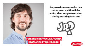 200+ people named fernando bravo living in the us. Reporting From The 51st Jrp Paris Lallemand