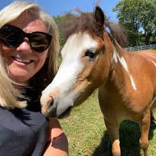 Mane in Heaven Miniature Therapy Horses