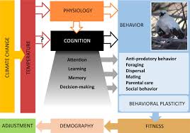 Tokyo 2020 está cada vez más cerca y los atletas mexicanos se están preparando para dar lo mejor de sí en los juegos olímpicos. The Impacts Of Heat Stress On Animal Cognition Implications For Adaptation To A Changing Climate Soravia Wires Climate Change Wiley Online Library