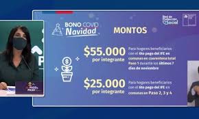 ¿cómo saber si recibo el pago del bono de abril con el rut? Estas Son Las Comunas Que Recibiran El Bono Covid Navidad Diario De Valdivia