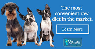 Check spelling or type a new query. The Optimal Care For Dogs With Liver Disease Volhard Dog Nutrition