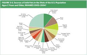 Mod Saturated Fat Discussion For David Skeptiko