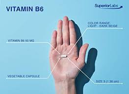 See full list on mayoclinic.org Superior Labs Best Vitamin B6 Dietary Supplement 50 Mg Dosage 120 Vegetable Capsules Supports Immune System Health Healthy Brain Function Cardiovascular Health Support Pricepulse