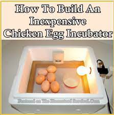 How To Build An Inexpensive Chicken Egg Incubator The Homestead Survival Egg Incubator Chicken Incubator Raising Chickens