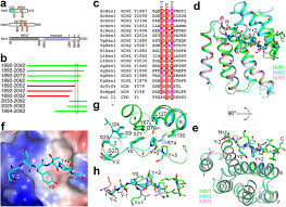 تحميل تعريف طابعة hp laserjet 1018 للكمبيوتر مجانا. Identification Of Three Sequence Motifs In The Transcription Termination Factor Sen1 That Mediate Direct Interactions With Nrd1 Biorxiv