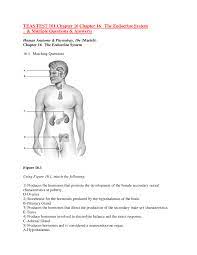 Pin On Teas Final Exam