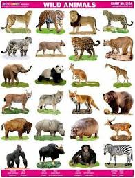 Ebay Link Wild Animals Chart For Kids Educational Chart Project Learning Chart Wall Chart Home Garden Animals Wild Cute Wild Animals Wild Animals Drawing