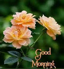 Lovely good morning pic 1. Latest Updates From Good Morning Images Facebook