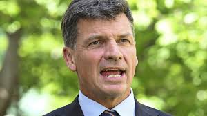 Government’s ‘spin’ wearing thin: Taylor calls out Chalmers