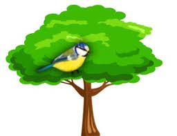 25 vers, dal, mondóka a madarak és fák napja alkalmából. Madarak Es Fak Napja Szolnoki Korosi Csoma Sandor Altalanos Iskola Es Alapfoku Muveszeti Iskola