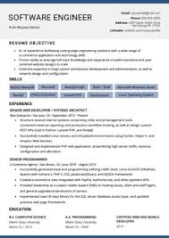 Resume sample for director of it and ceo of information technology company. Information Technology It Resume Sample Resume Genius Resume Templates Resume Template Free Job Resume Examples