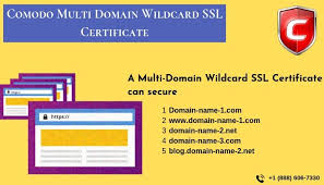 Multi Domain Wildcard Ssl Certificate For Unlimited Subdomain Security Ssl Certificate Ssl Domain