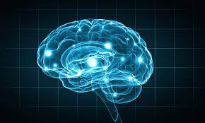 Brain tricked into thinking it is fasting to cope better with inflammation
