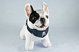 Black White And Brown French Bulldog Ooak White And Black French Bulldog In A Bandana With Skull Black French Bulldogs French Bulldog Ooak