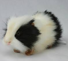 Pin On Cute