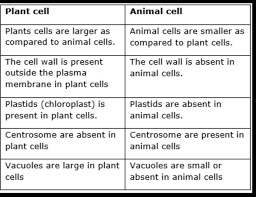 This membrane is made of proteins and lipids and acts as an interface between the cell organelles suspended in the cytoplasm and the external. What Are The Differences Between Animal Cell And Plant Cell Brainly In